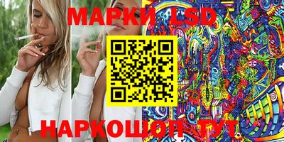 PSILOCYBIN Заводоуковск