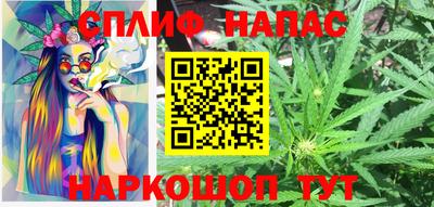 гидра Заволжье
