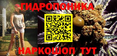 гидра Заволжье