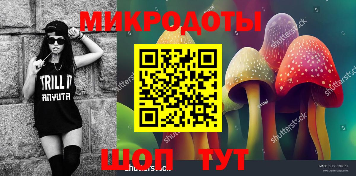 Псилоцибиновые грибы Psilocybe  Вход с VPN  Новоалександровск 