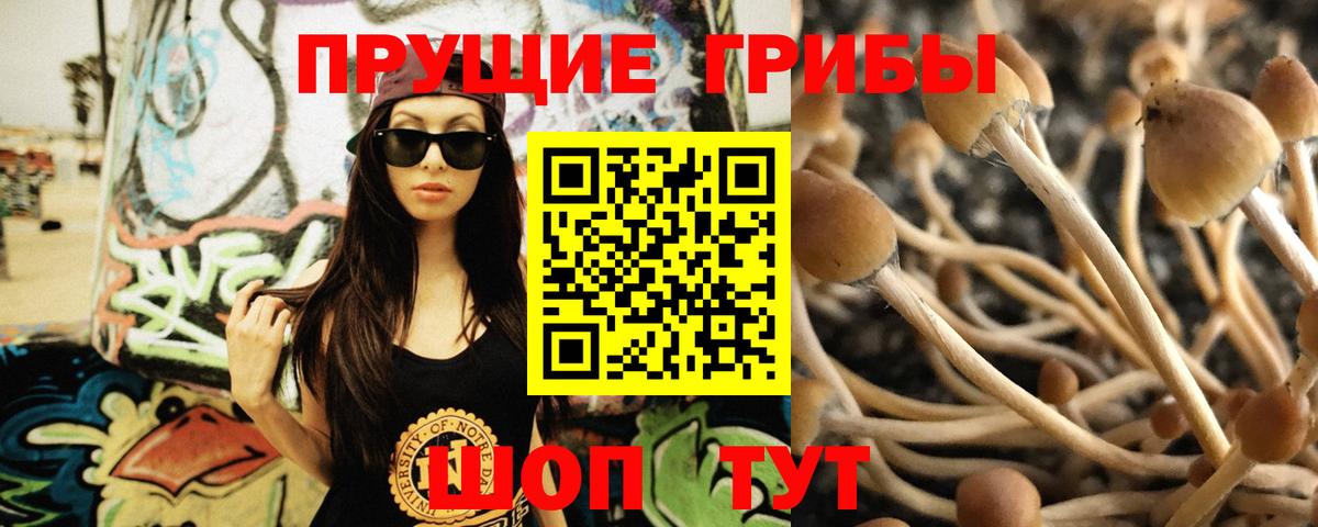 Мефедрон кристаллы  Новоалександровск  Вход с VPN  Cocaine  МЕТАМФЕТАМИН  ГАШИШ  Канабис 